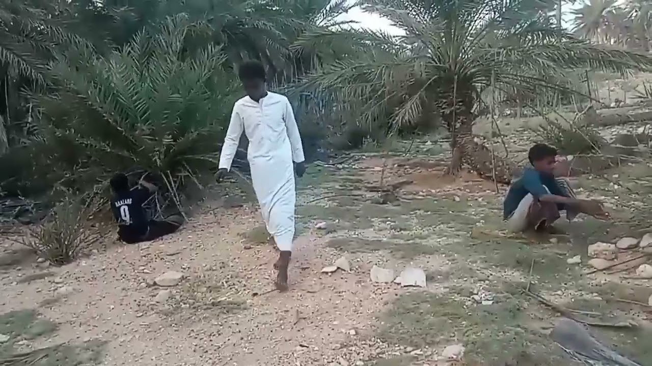 فيلم سقطري النخيل.    قلنسيه. . نشاء الله أن اسمتعتوا