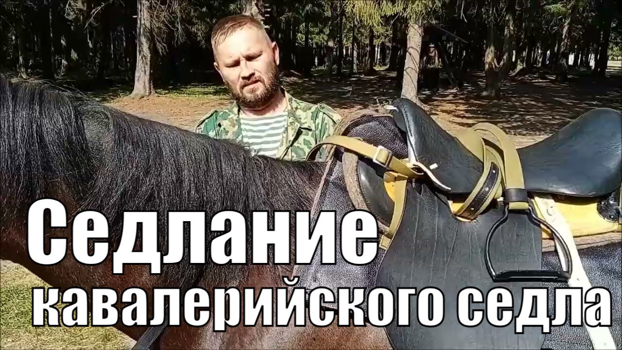 Правильное седлание кавалерийского (драгунского) седла на лошадь