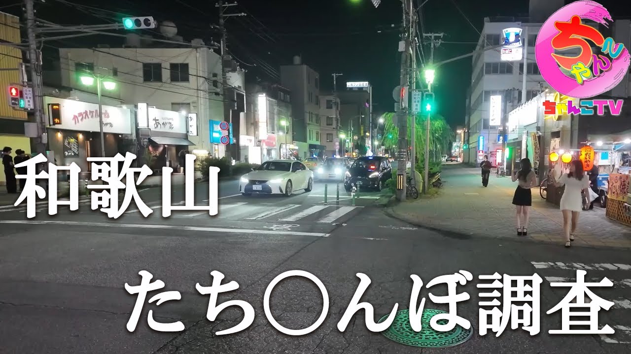 和歌山の繁華街を3か所調査しましたがみんなに呆れられるおぢ。【225場所目】