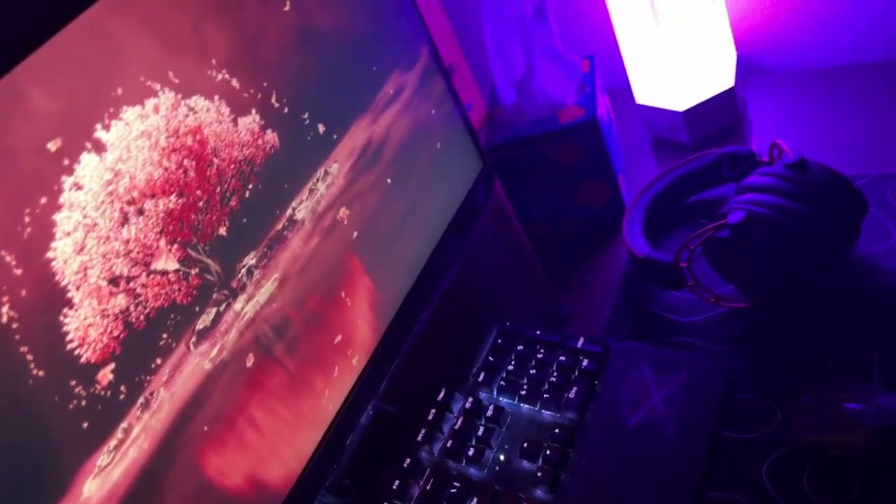 2025 setup & upgrades