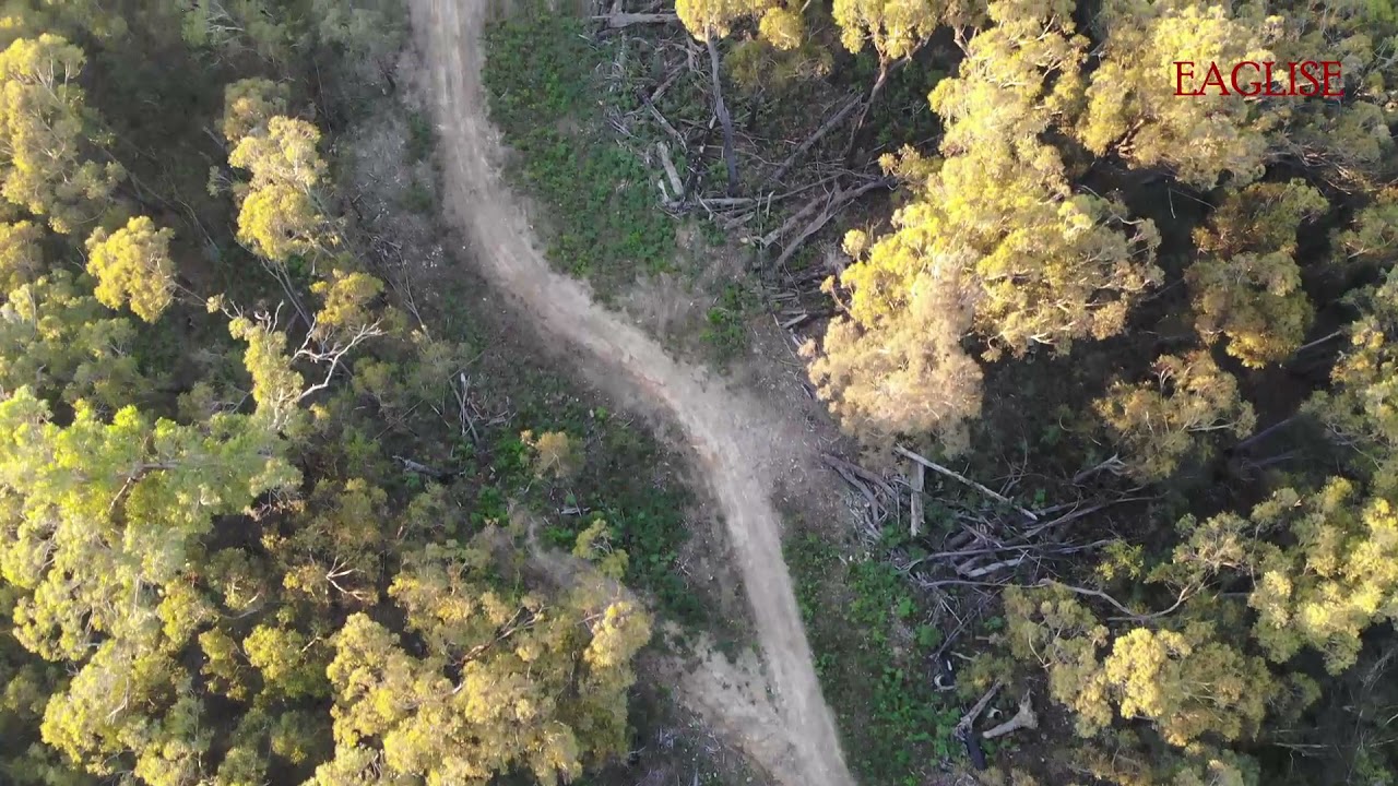 Bush Roads Lead to the Unknown