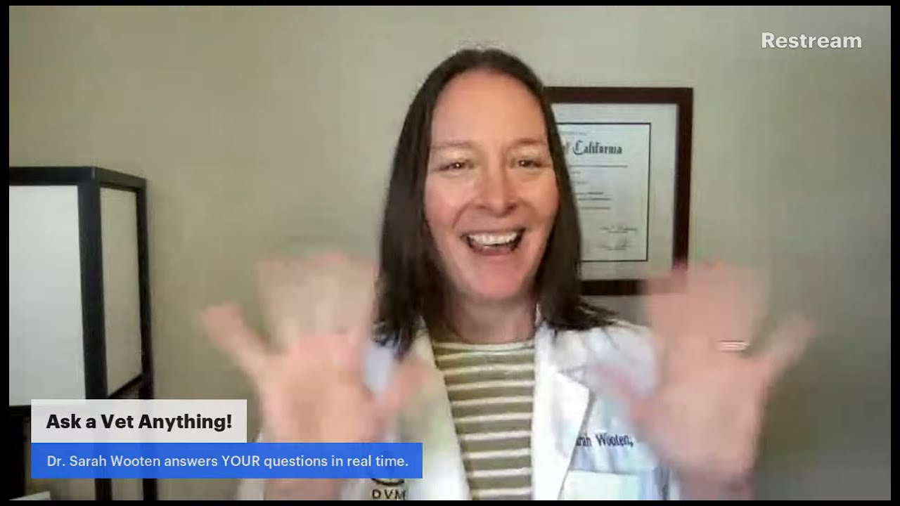 Ask a Vet Anything #10