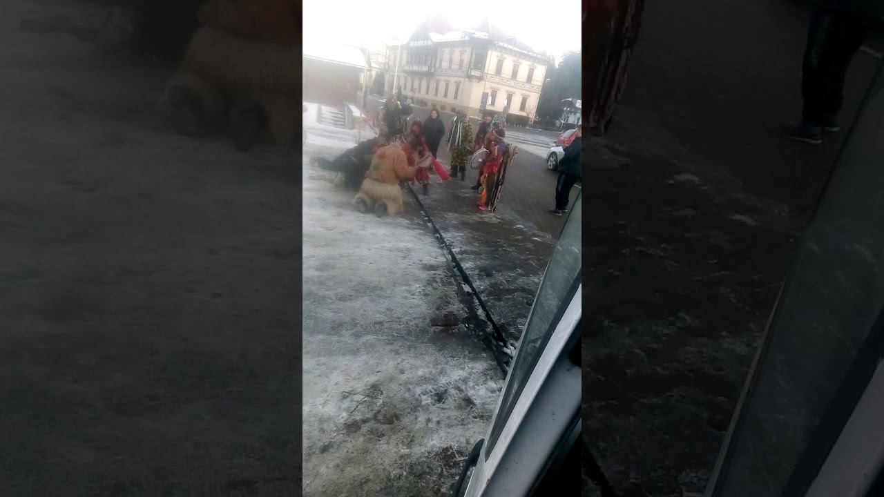 Ursul de la Neamț (Vânători)