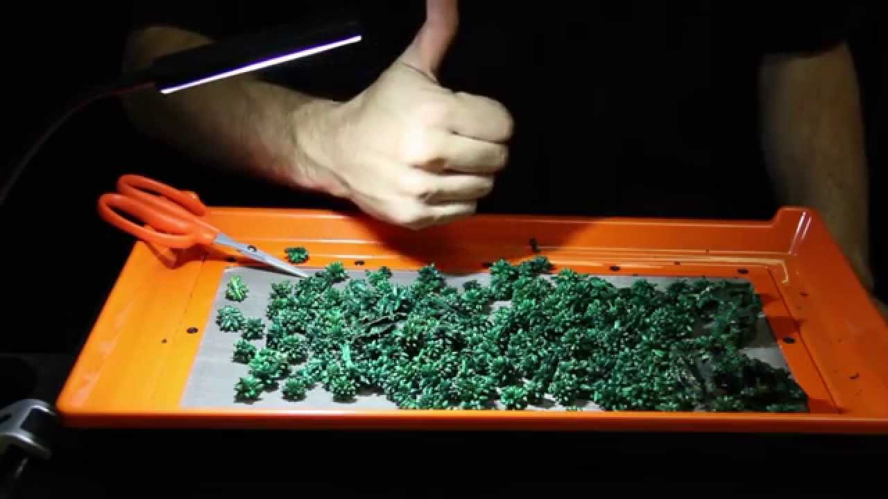 Trimming Trays | Trim Tray for Harvesting | Trim Bin Station | Lap Trim Table Tray | Kief Trays