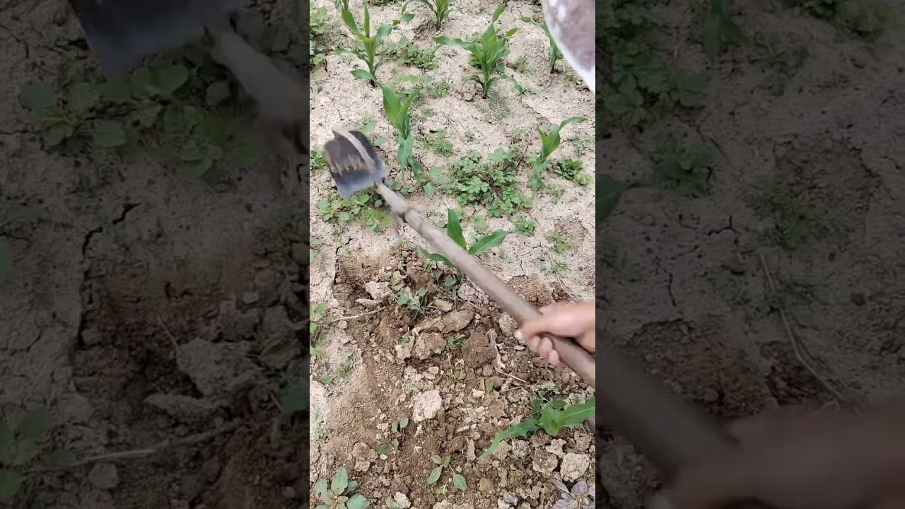 part2 Sharing of good things for agriculture, rural areas and farmers Green Fields Forever