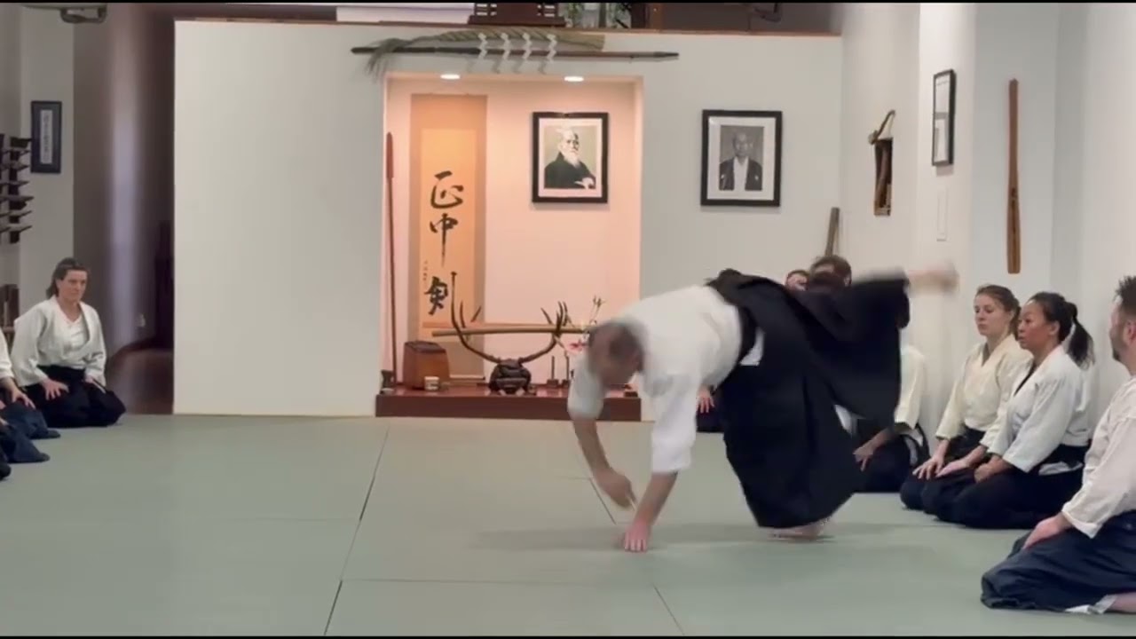 Piotr Masztalerz shihan from Wrocław Aikikai in Brooklyn Aikikai, I 2026