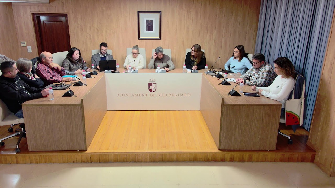 Ple Ordinari Març 12/03/2025