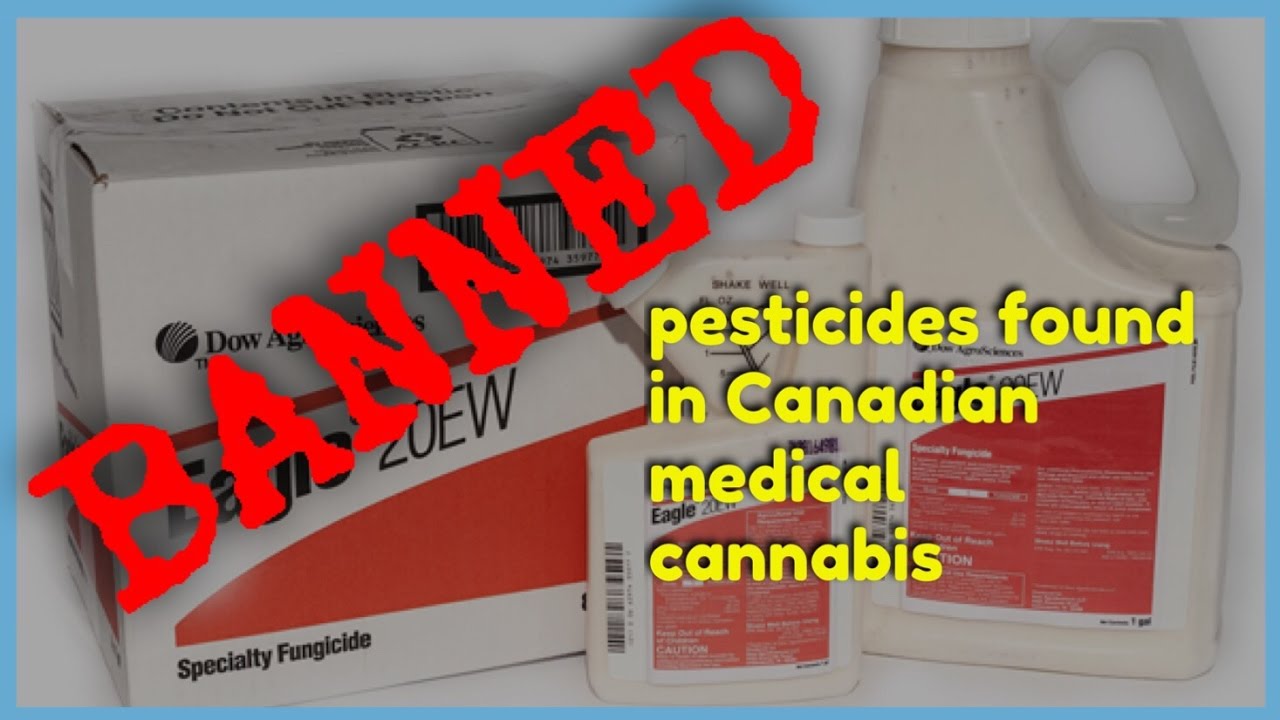 BANNED Pesticides Found in Canadian Medical Marijuana | NewsNug recap | CoralReefer