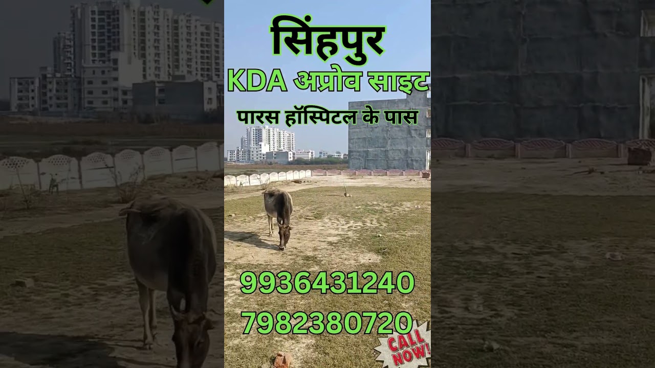 BEST PLOTS IN KANPUR. KDA PLOTS. #kanpur #commericalplots #bestpriceforplotsinkanpur #plotsinkanpur