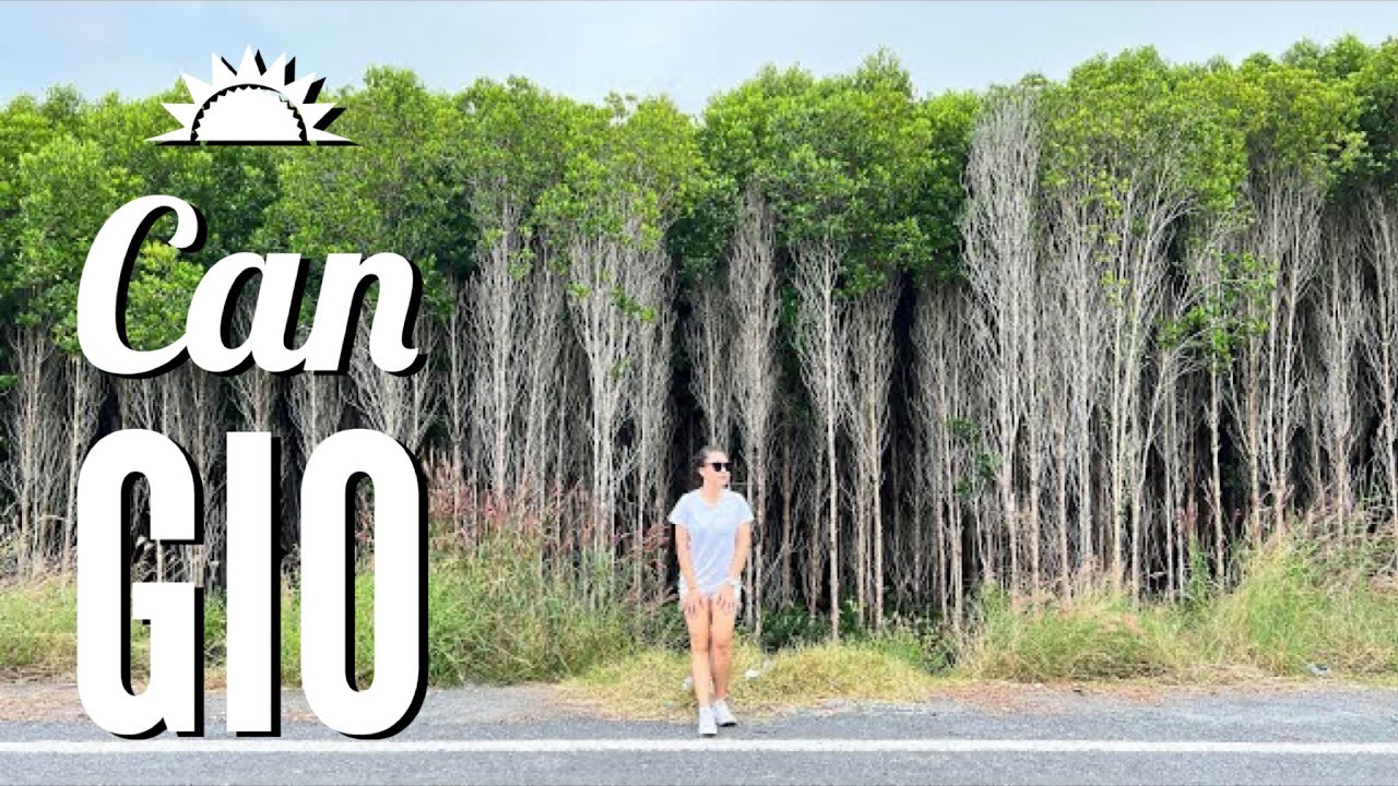 Dạo biển Cần Giờ, Khu du lịch Phương Nam, cầu Nam Hải, sau mùa dịch
