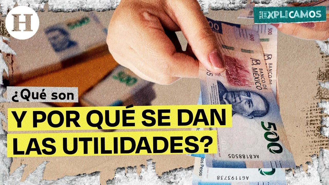 &iquest;Qu&eacute; son y cu&aacute;ndo deben pagar las utilidades las empresas? | Te lo explicamos