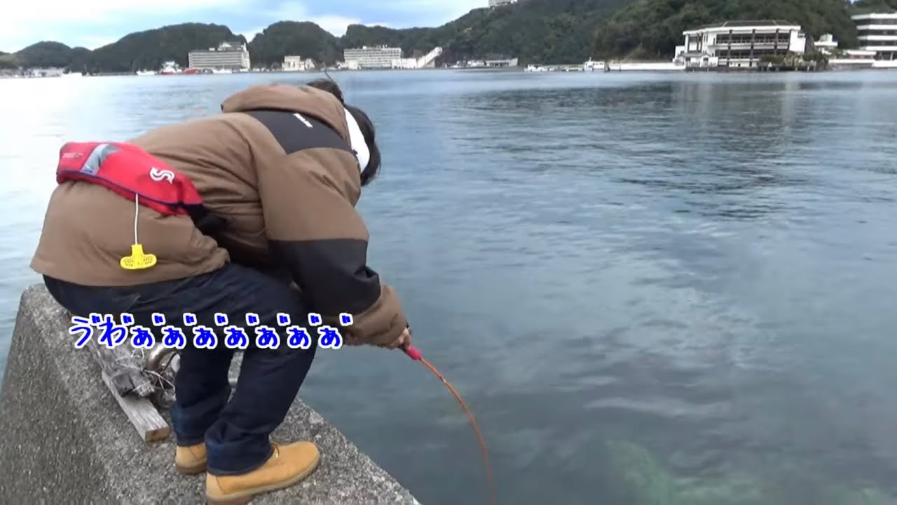 和歌山で堤防釣りをしたら...あのお宝が釣れた。