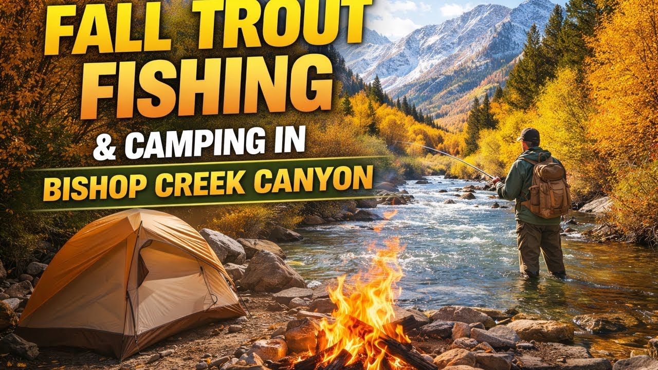 Trout Fishing and Camping in Bishop Creek Canyon