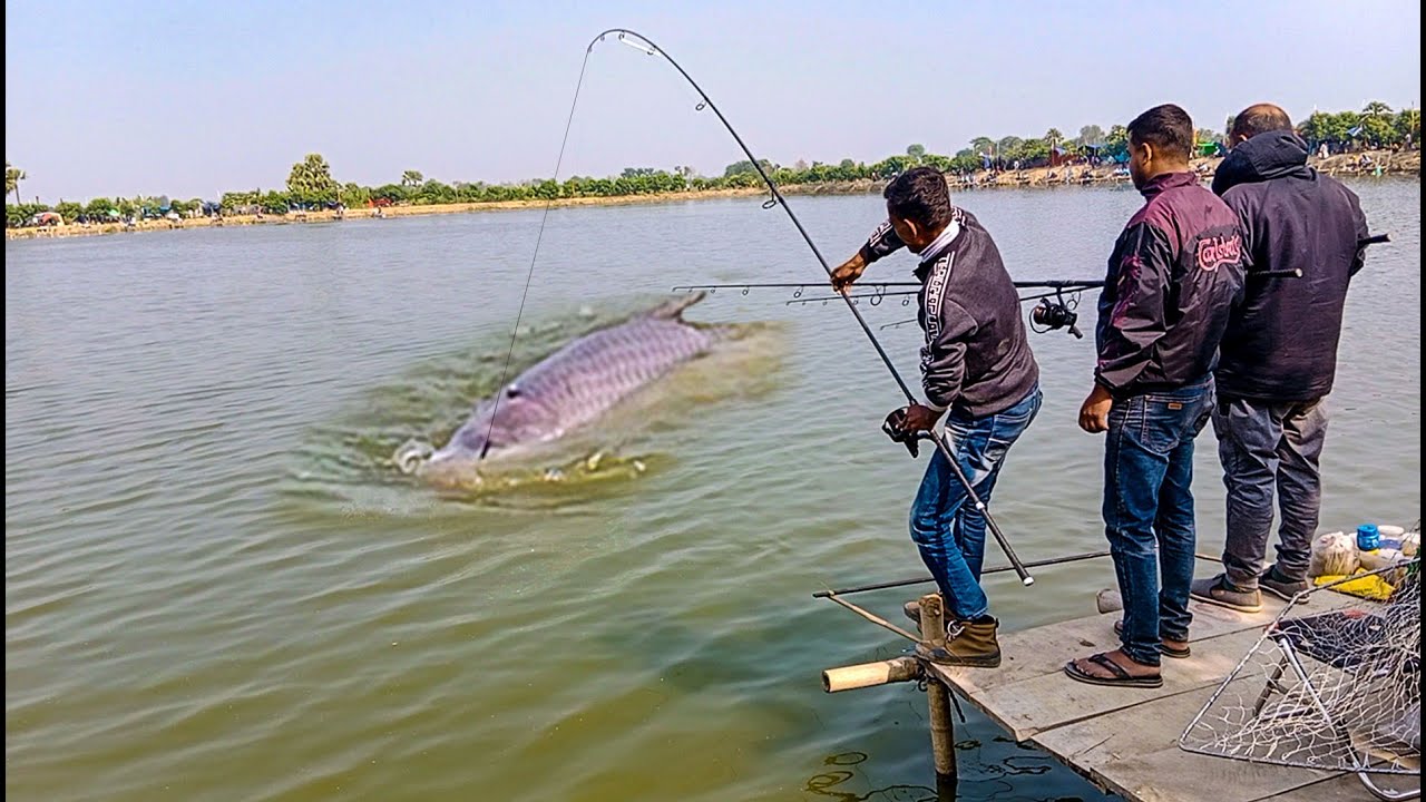 ৪০ কেজি ওজনের দানব মাছ ধরা পরলো শিকারির ছিপে দেখে তাক লেগে গেল