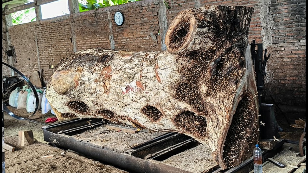LIFE THREATENING MISTAKE!! One Wrong Move Almost Ended Everything at the Sawmill
