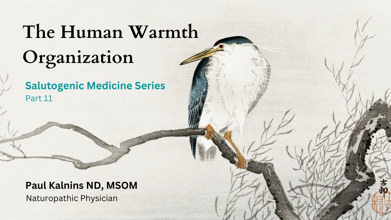 The Human Warmth Organization | Salutogenic Medicine Series, Part 11