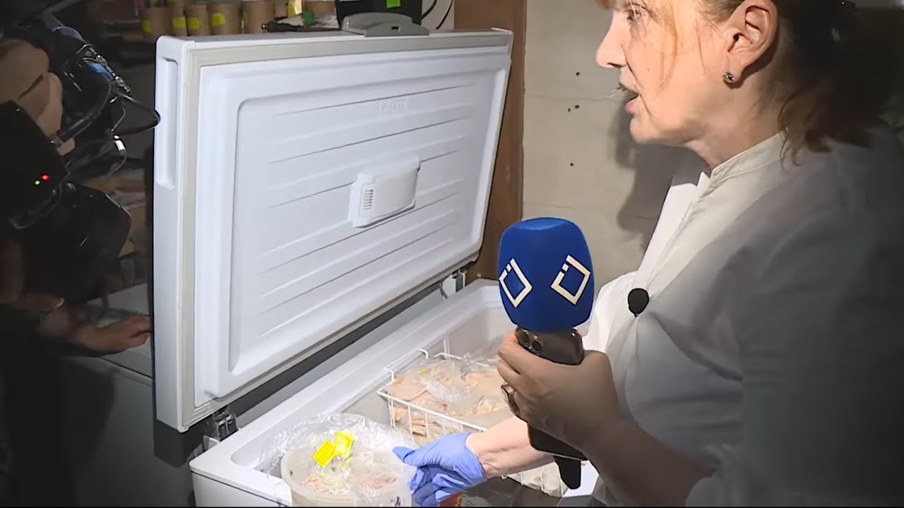 საცხობი 