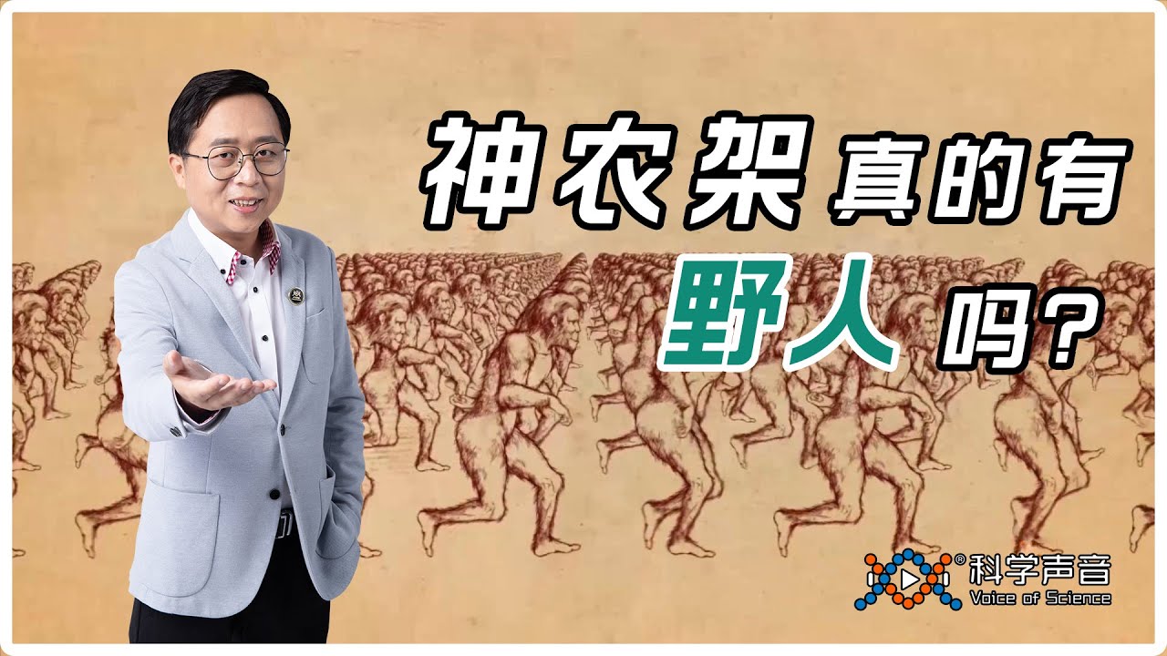 神农架真的有野人吗？ |  真假世界未解之谜