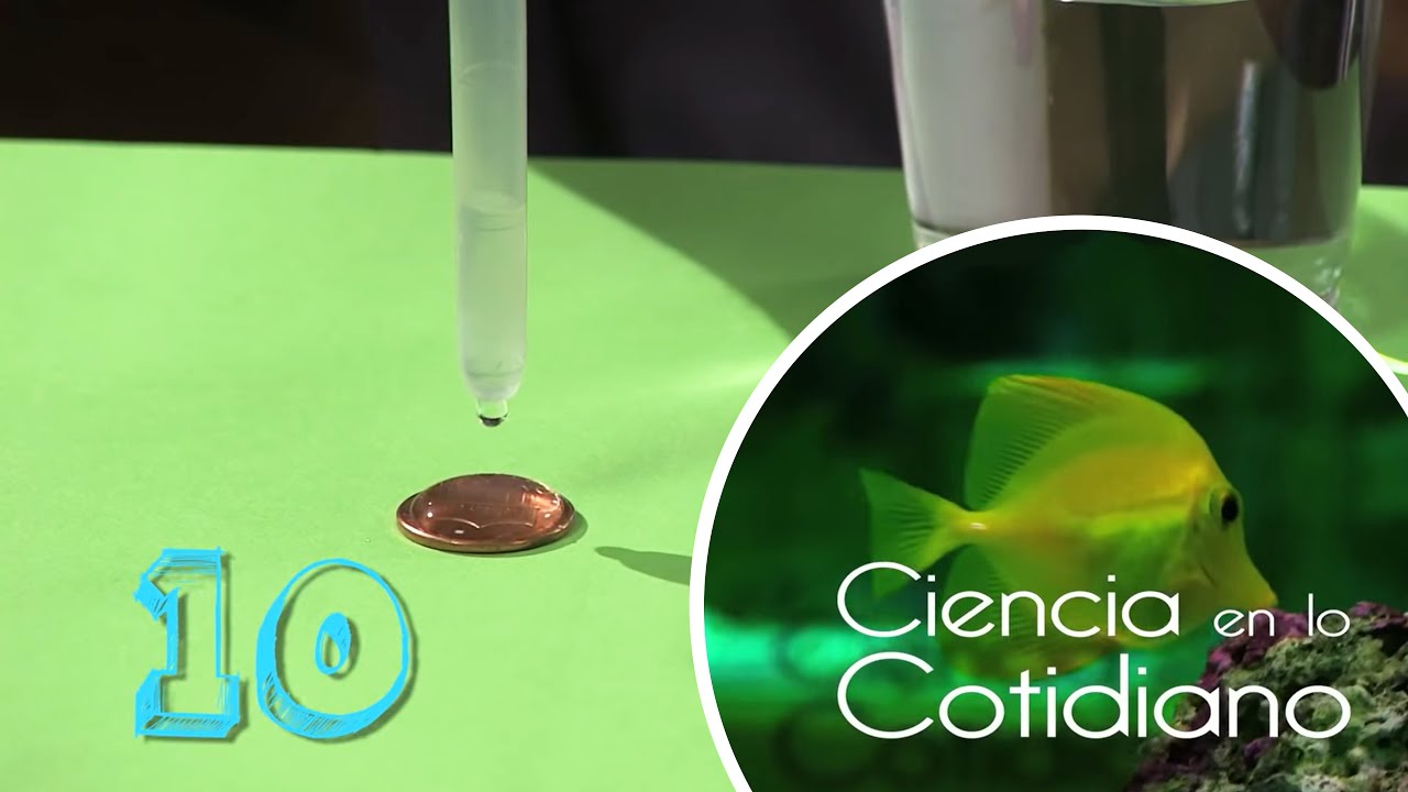 El Agua y sus Propiedades | Ciencia en lo Cotidiano T1