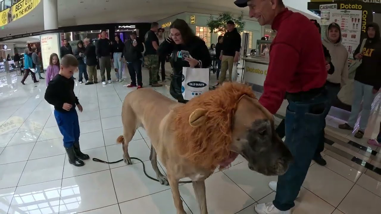 Cash 2.0 @ an Indoor Mall 2023 (1 of 4)