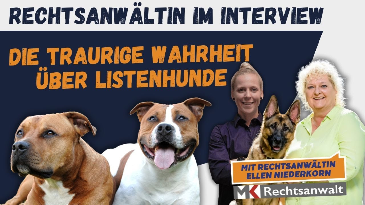 Das sagt das Gesetz wirklich über Listenhunde – mit Rechtsanwältin Ellen Niederkorn