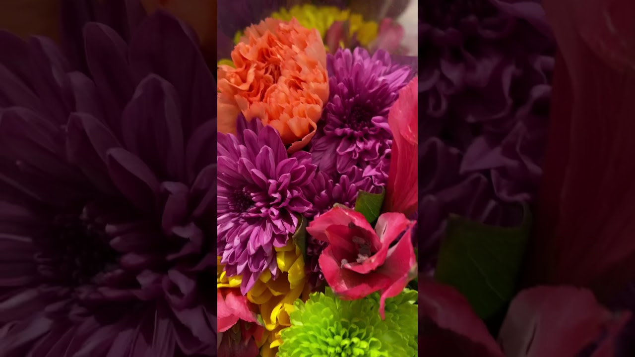 Flowers💞#flowers#flower#target#usa#reel#reelsvideo#shortvideos#romantic#влог#сша#positivevibes#cute