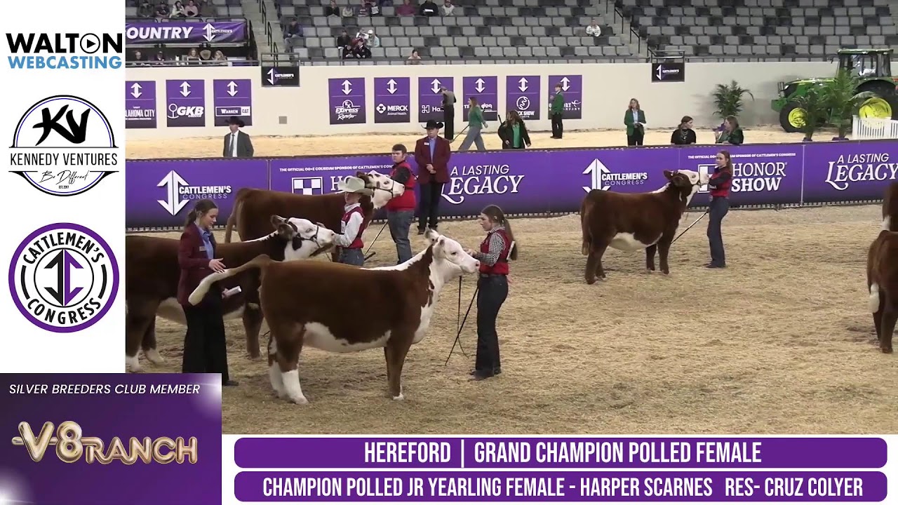 2026 Cattleman's Congress - Jr. Hereford Breeding Heifer Show
