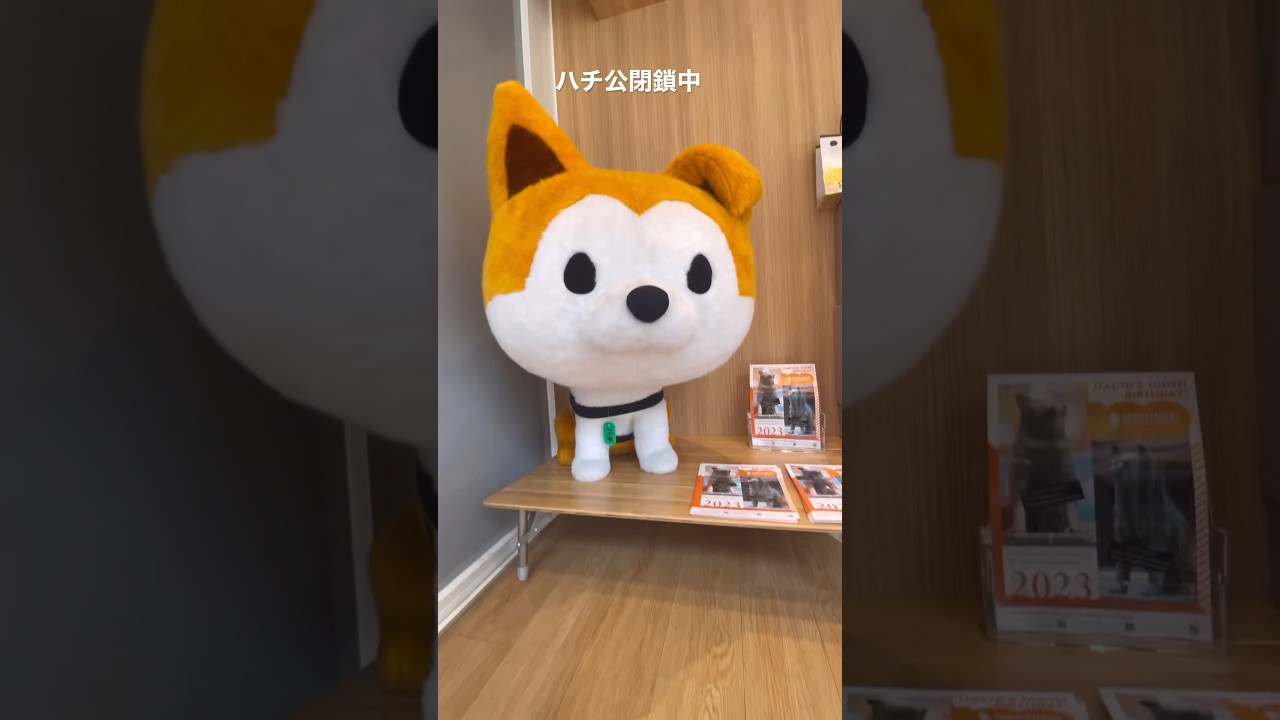 #ハチ公