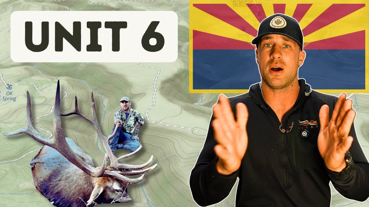 Arizona Elk Hunting Unit 6: 6A & 6B Draw Odds, Best Hunt Spots, and Proven Strategies (2025)