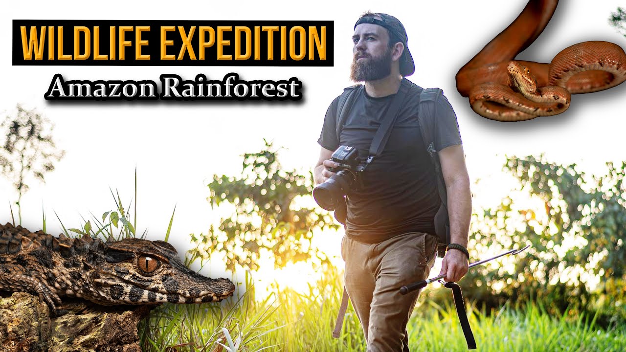 Epic Wildlife Photography Expedition in the Amazon: Peru