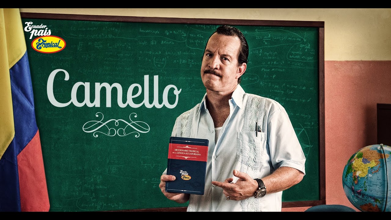 Diccionario Tropical - Lección 6: Camello