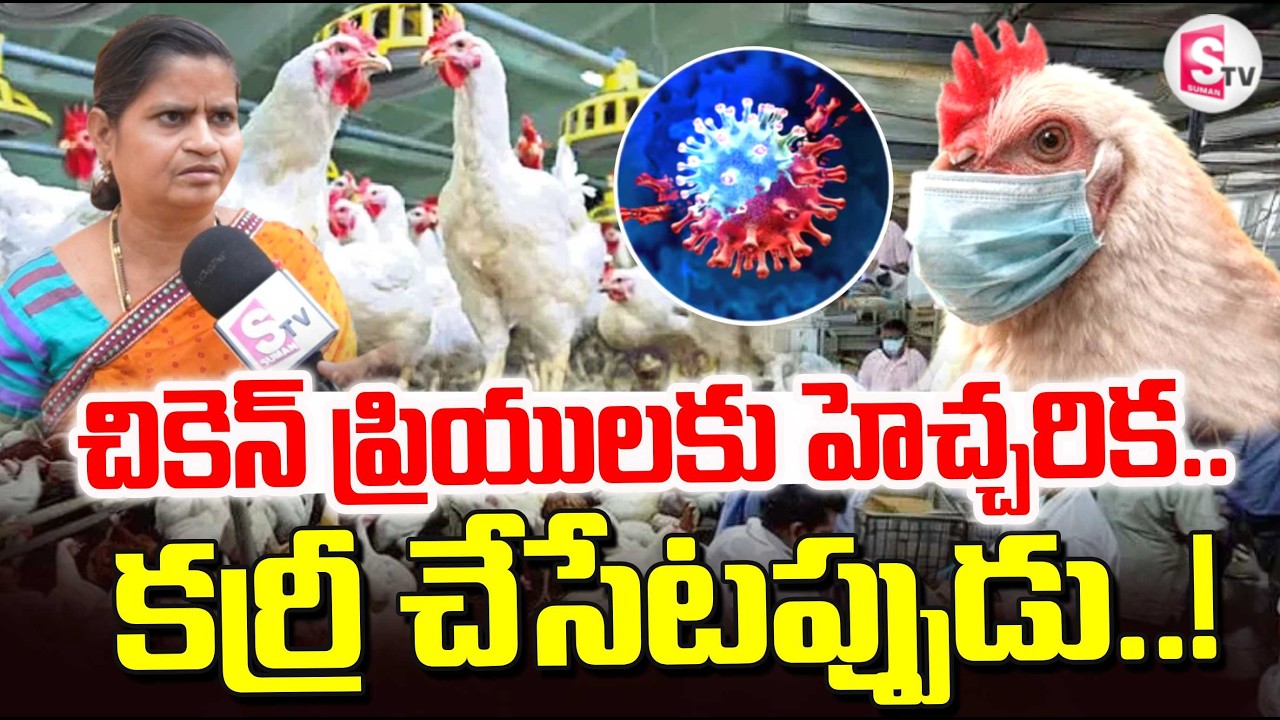 Bird Flu Effect on AP | Chittoor Bird Flu Updates | చికెన్ కర్రీ చేసేటప్పుడు | SumanTV Uma Shankar