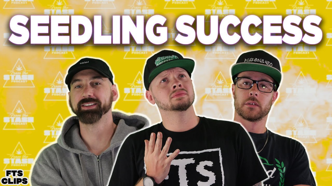 Pro Tips for Watering & Sprouting Delicate Seeds! | FTS Clips