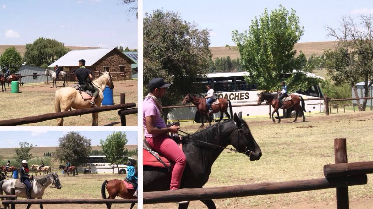 Mooikrans Camp 2015