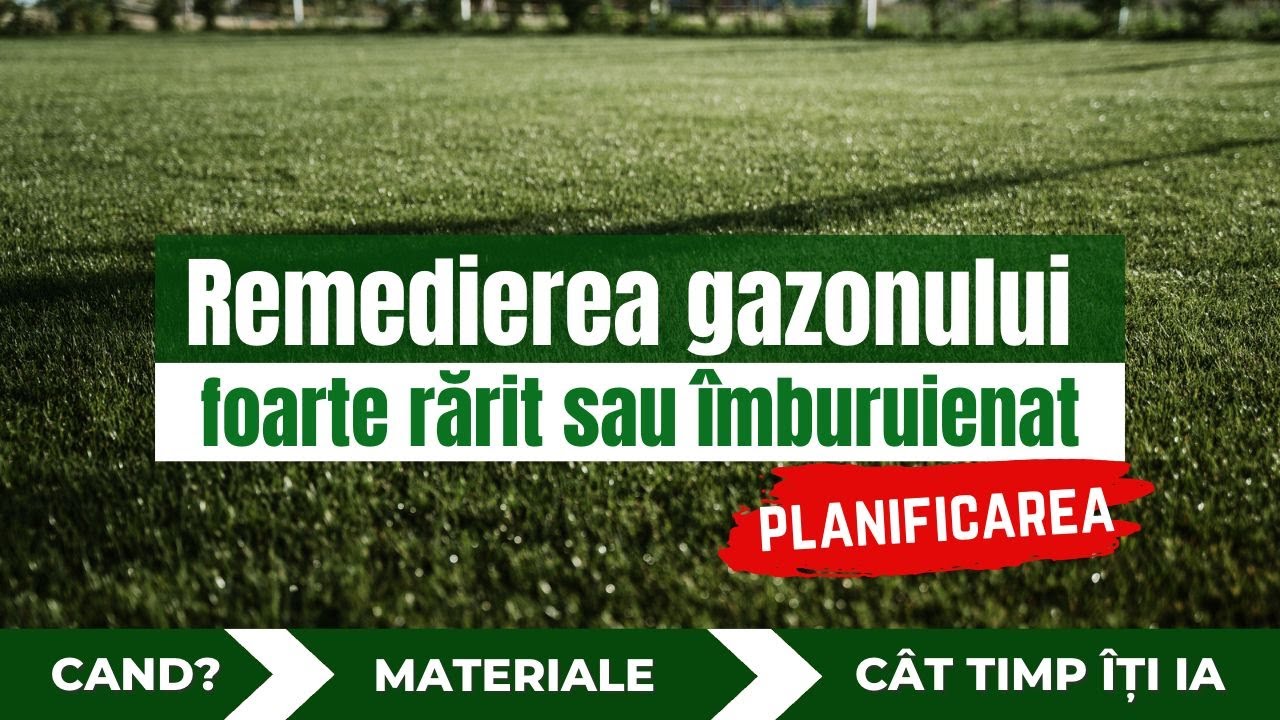 Gazon rărit sau îmburuienat? Planificarea corectă pentru remediere. Perioada propice și primii pași