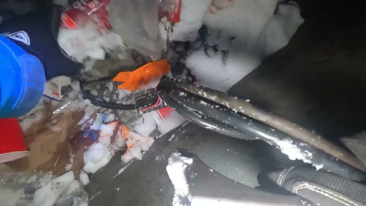 Trash Picking and Dumpster Diving