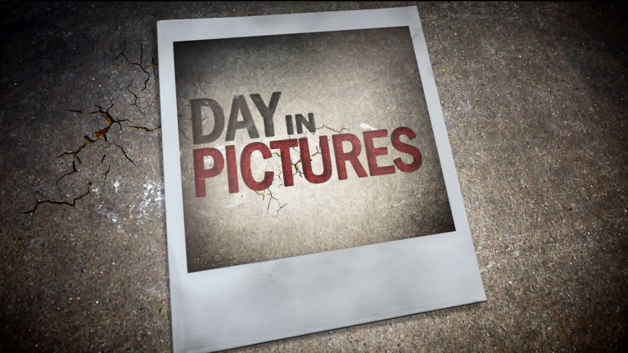 Newsfix - Day In Pictures VizRT Template Showcase