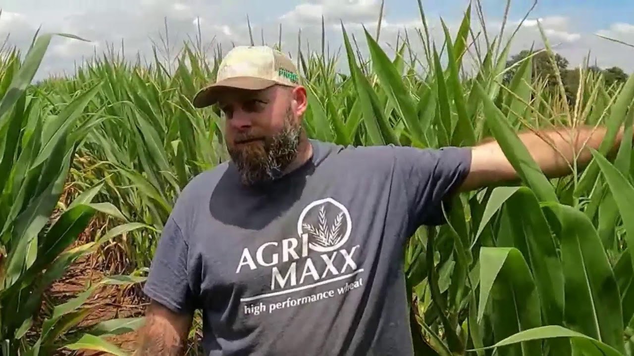 Top Crop Tv