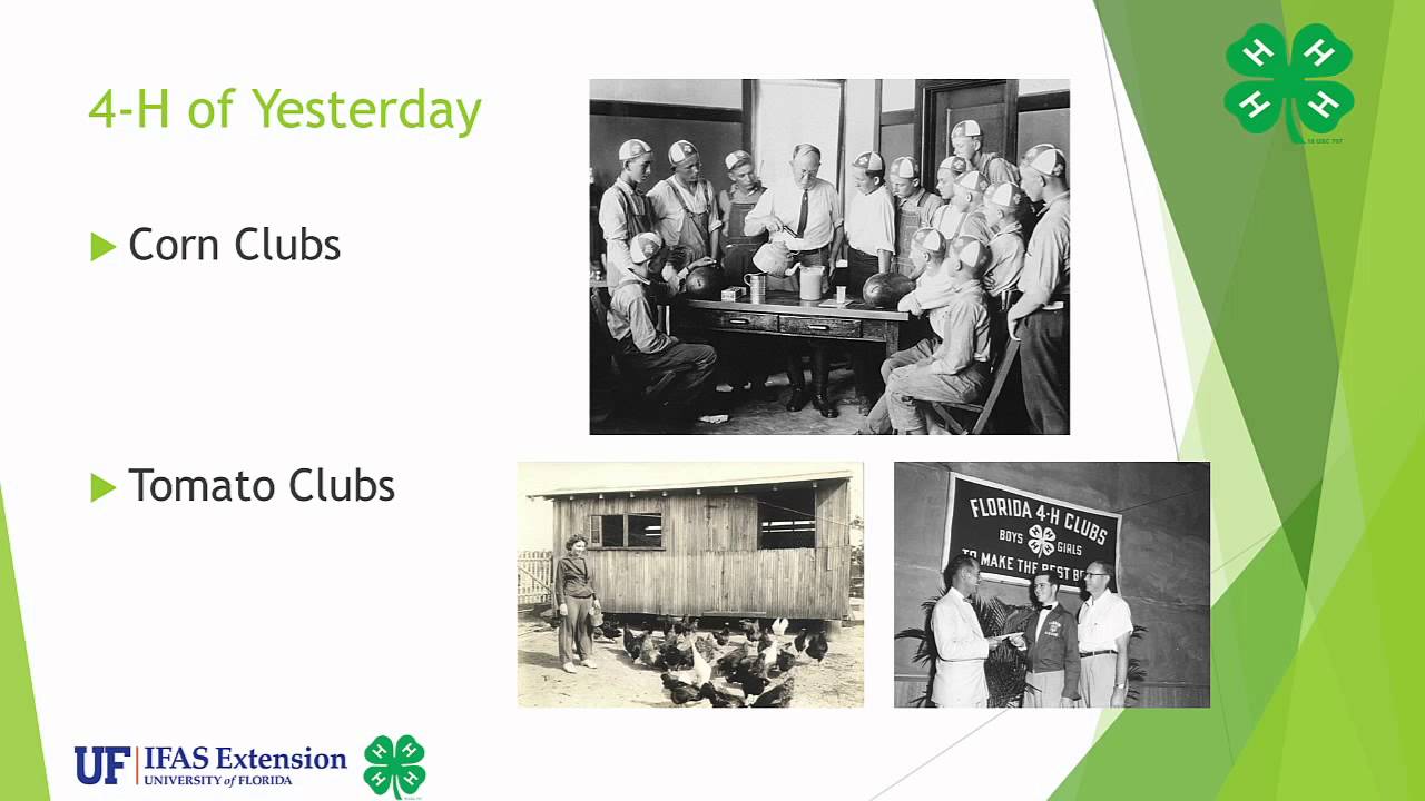 Module 1 What is 4 H?