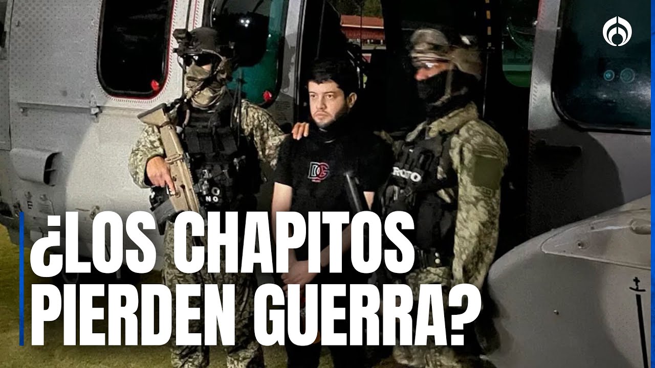 Chapitos pierden fuerza en Sinaloa: 80% de sus caudillos han caído