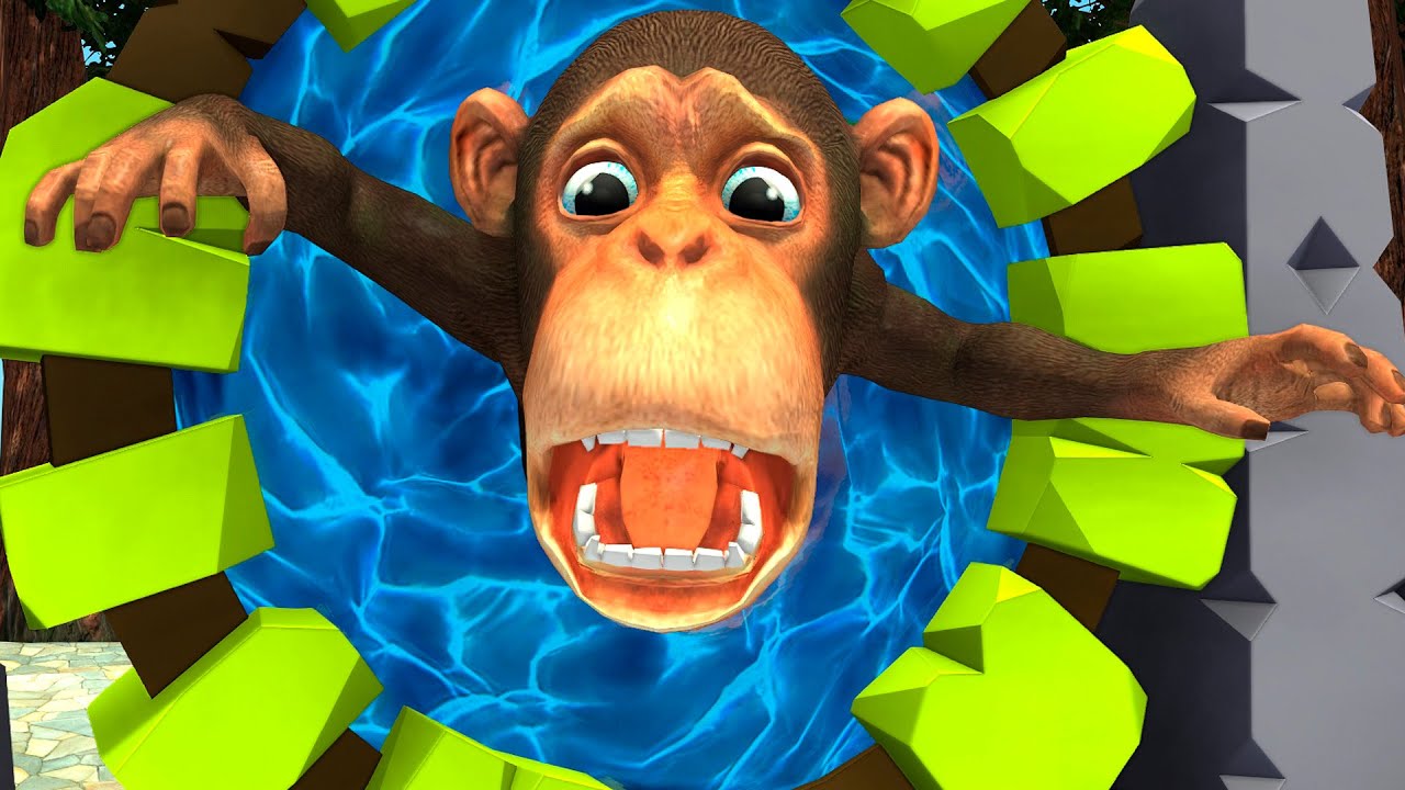 Monkey, Portal and Jumanji | Wild Animal Adventure