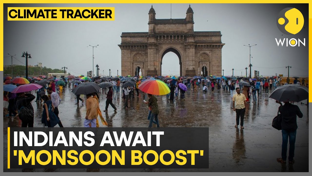India Monsoon | Impact of India's monsoon season | WION Climate Tracker