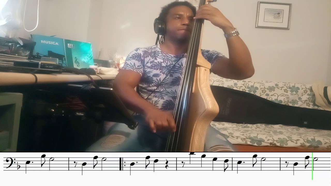 Covers bass Indestructible