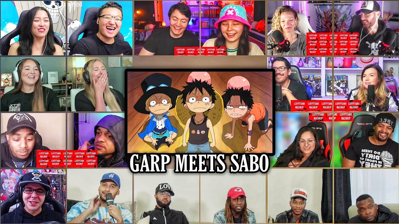 Garp Meets Sabo Reaction Mashup | One Piece Episode 497