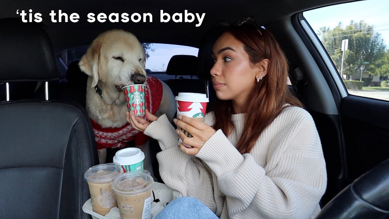 my favorite starbucks holiday drinks