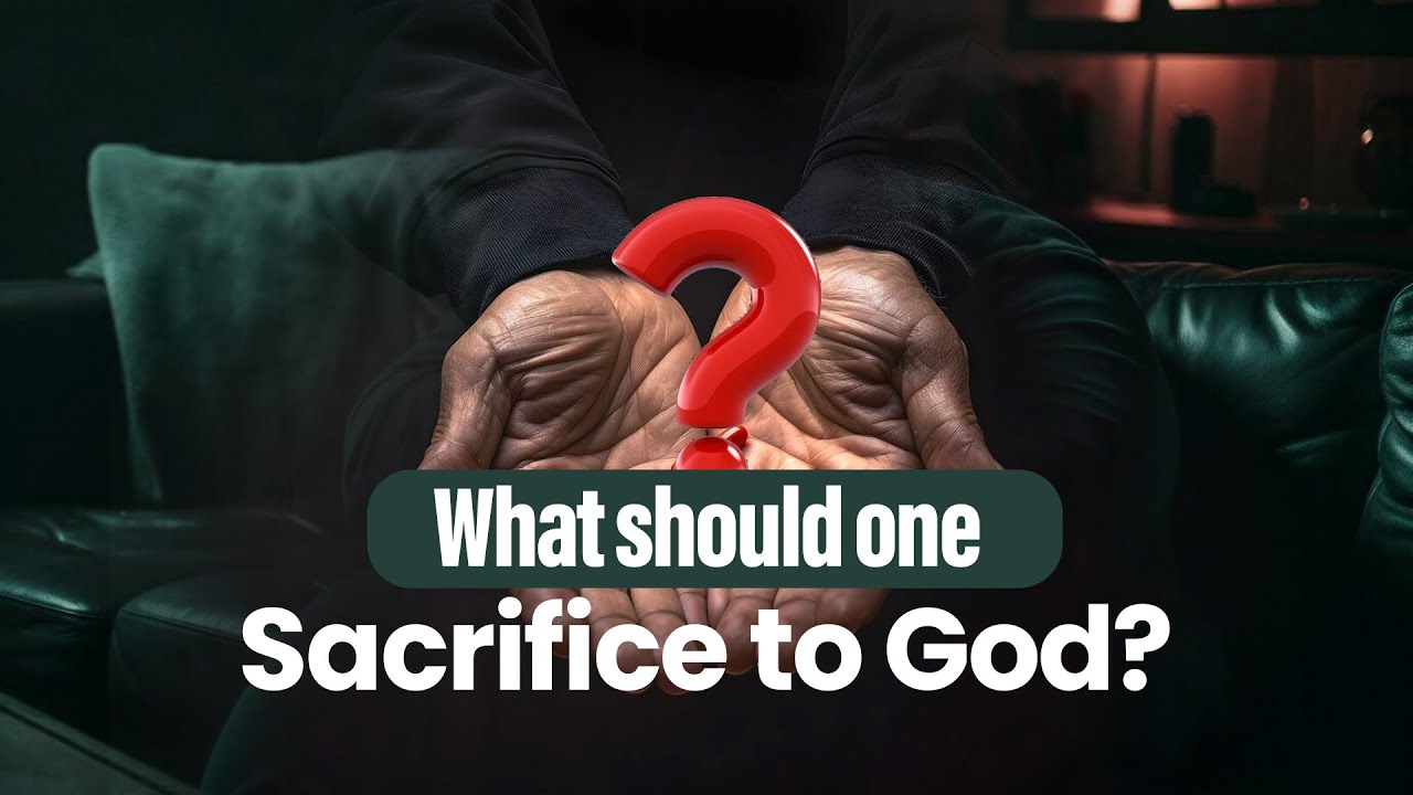 Can Devotion Alleviate Shortcomings? Live Naamcharcha Satsang | 1 June 2024 #ramrahim #devotion