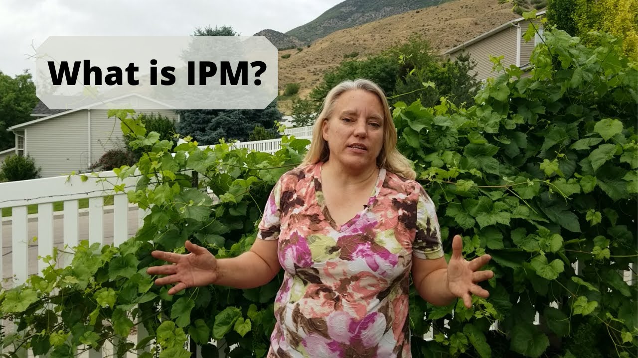 What is IPM and How You Can Use It To Help Control Pests and Diseases