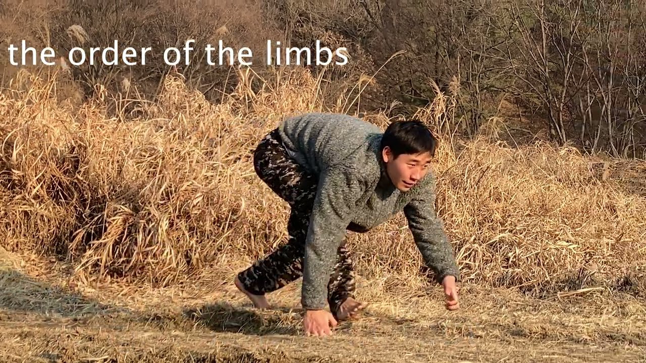 How to knuckle walk