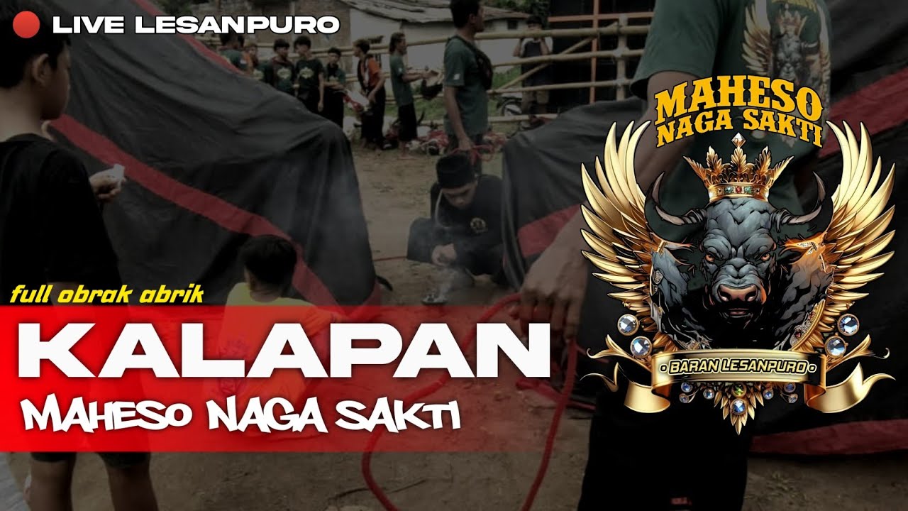 Kalapan Maheso Naga Sakti Full Obrak Abrik • Live Lesanpuro GG12