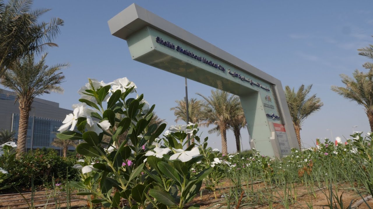 Mega hospital embraces healing design